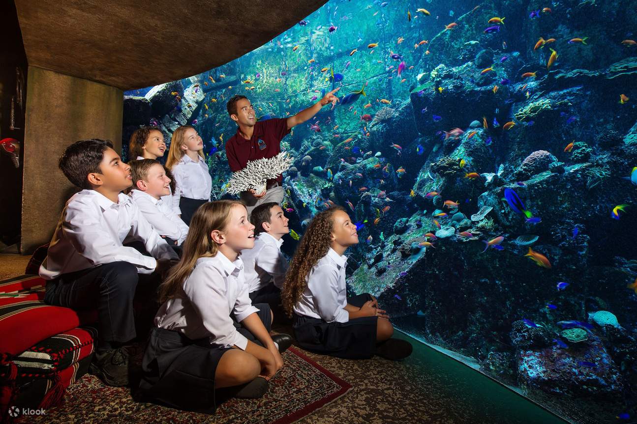 The Lost Chambers Aquarium Ticket in Dubai