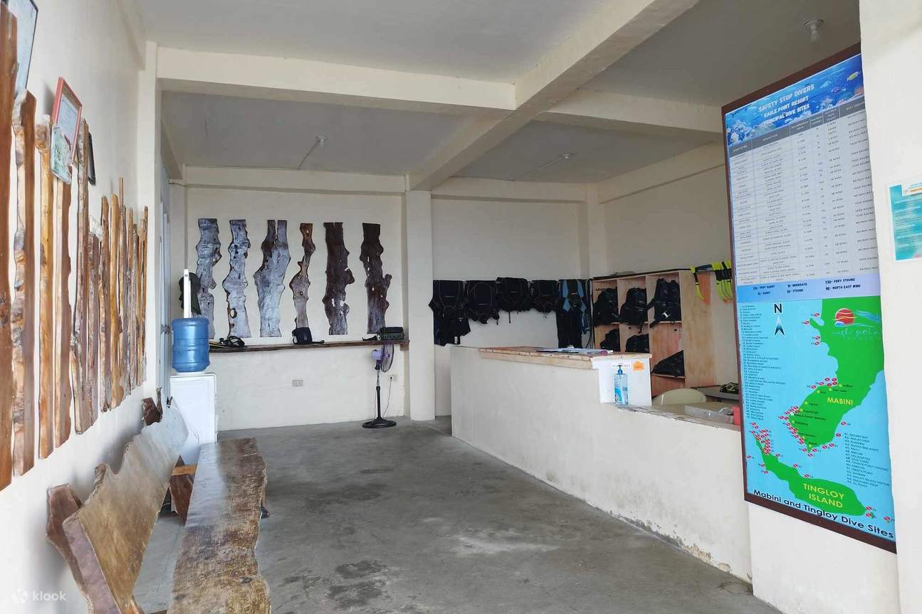 Tour de buceo en Anilao desde Manila