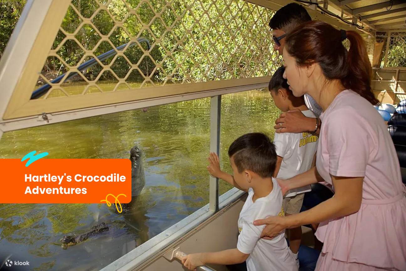 Hartley's Crocodile Adventures Ticket
