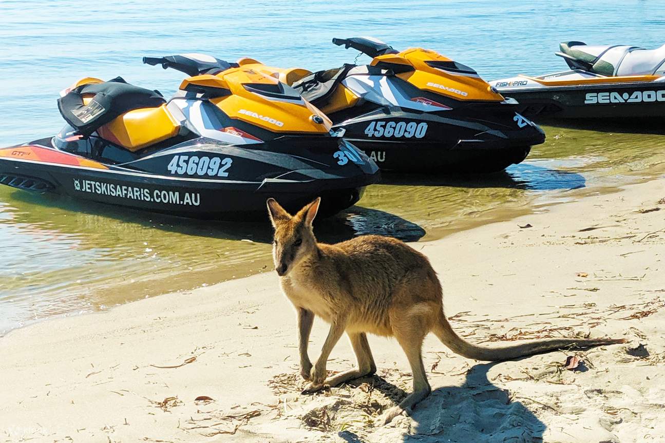jet ski avec kangourou