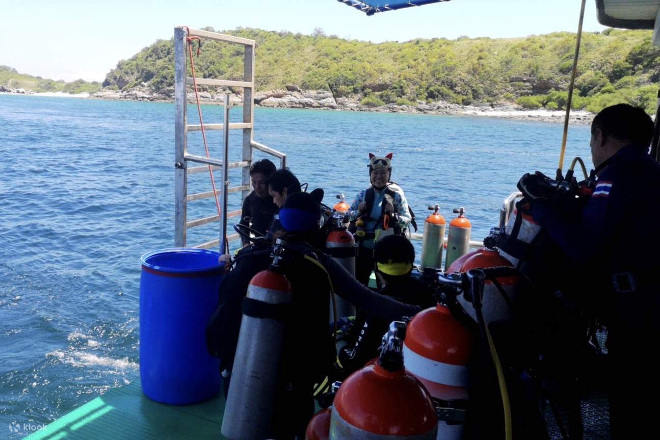 ไกด์มืออาชีพ