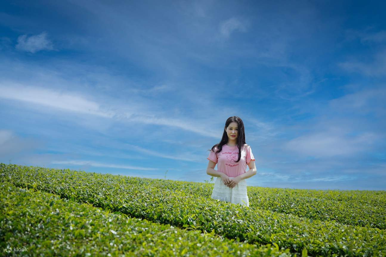 Photoshoot Experience in Jeju Landmarks