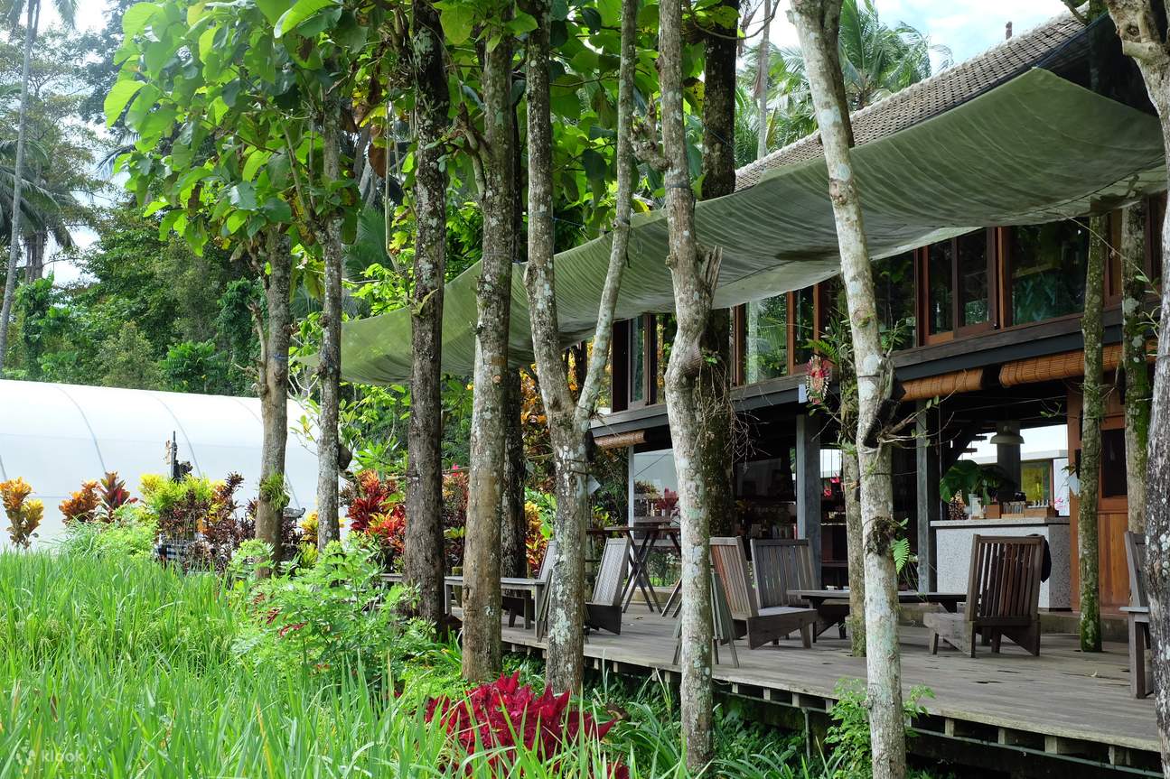 발리 가둥안의 탈라시 에스테이트에서 즐기는 탈라시 제품 여정