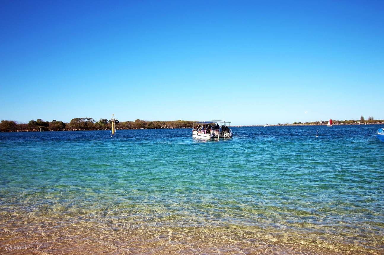 Tauchen Sie mit Fischen im Meer