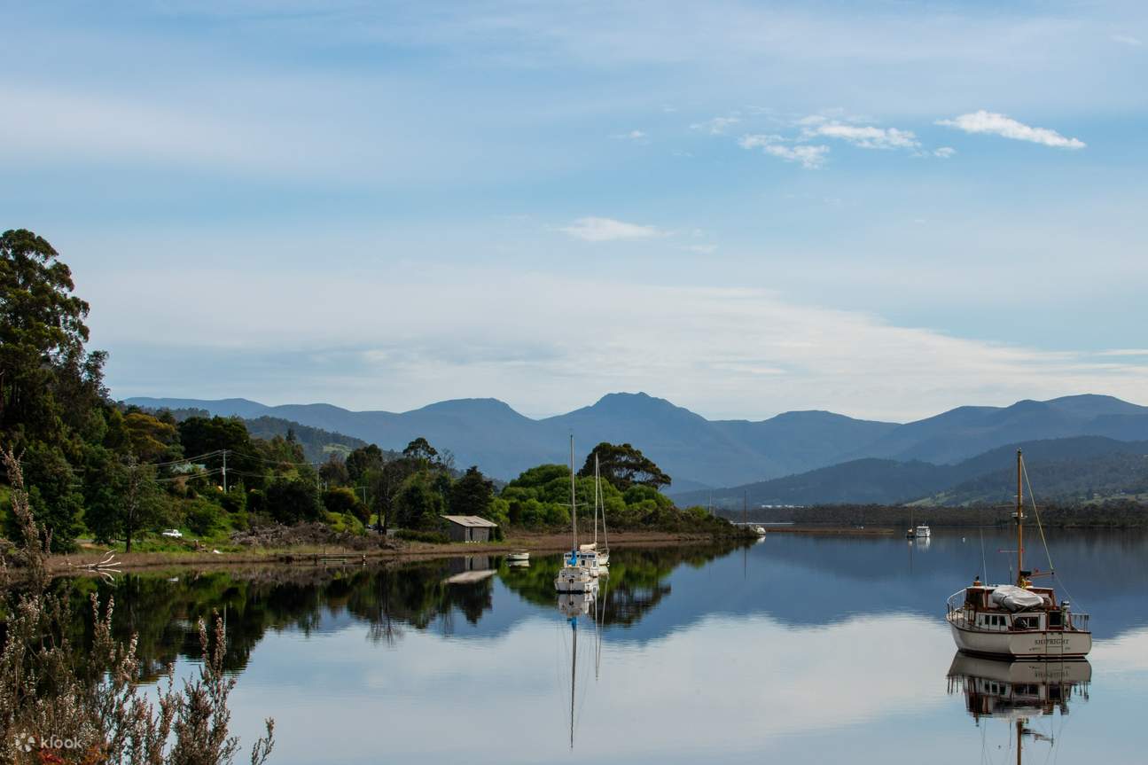 Hastings Caves, Thermal Springs & Tahune Airwalk Tour from Hobart - Klook