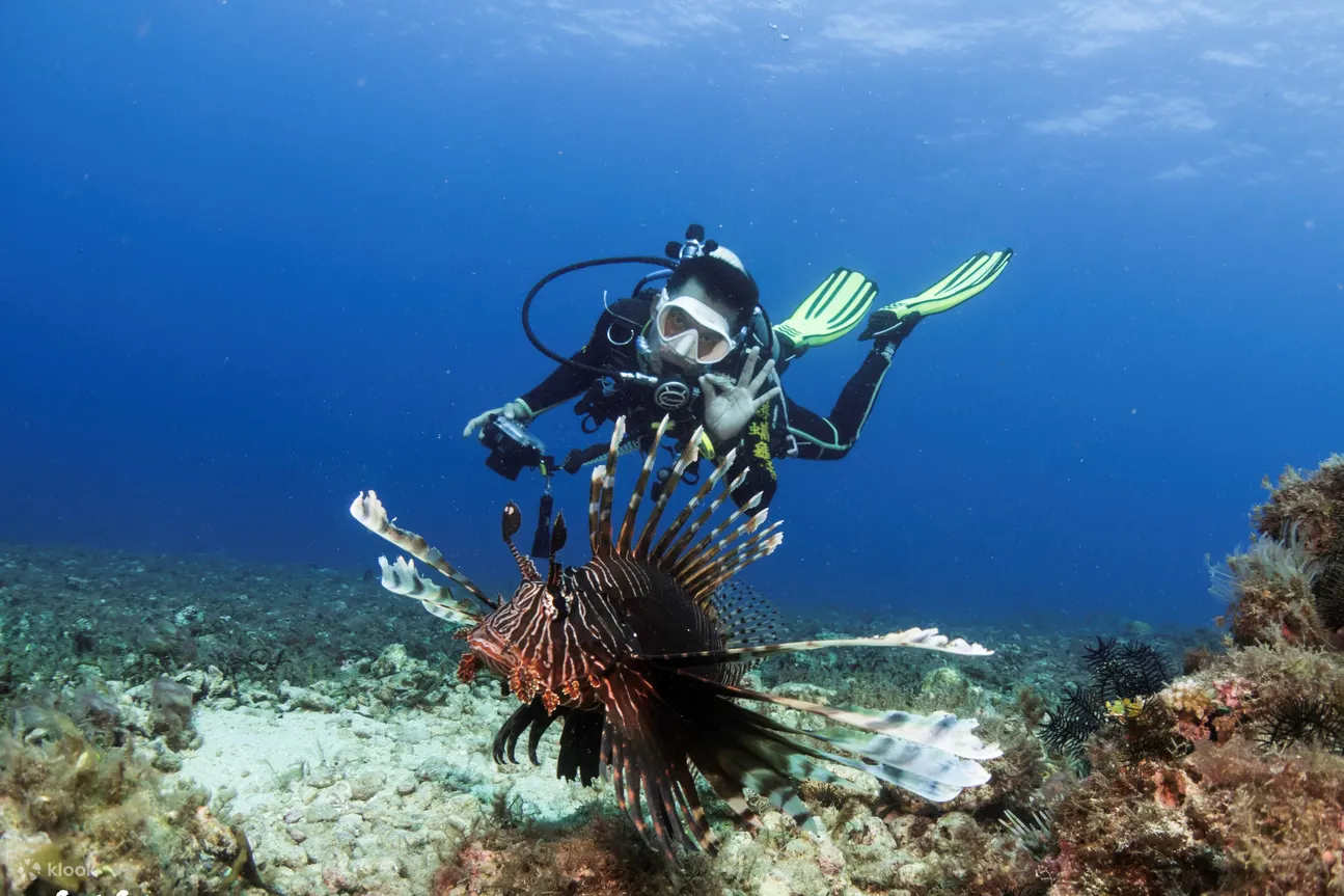 Diving Experience and OW Junior Diver Course in Green Sea Turtle Dive Shop Pingtung Xiaoliuqiu