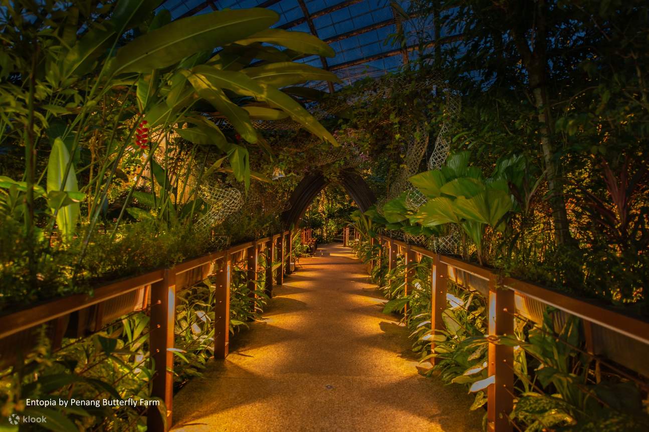 Billet pour Entopia by Penang Butterfly Farm
