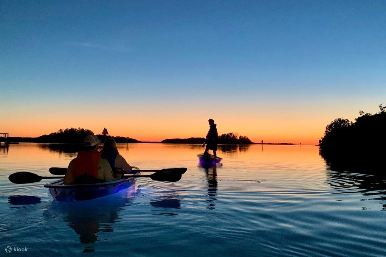 Shell Key Preserve Clear Kajak Tour in Tampa Bay - Klook Nederland