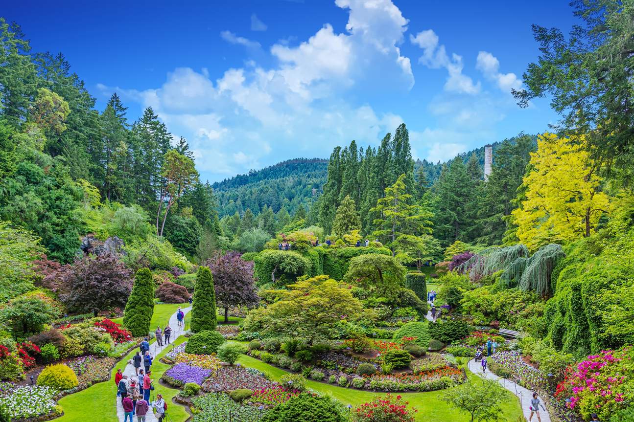 butchart gardens tours from victoria bc