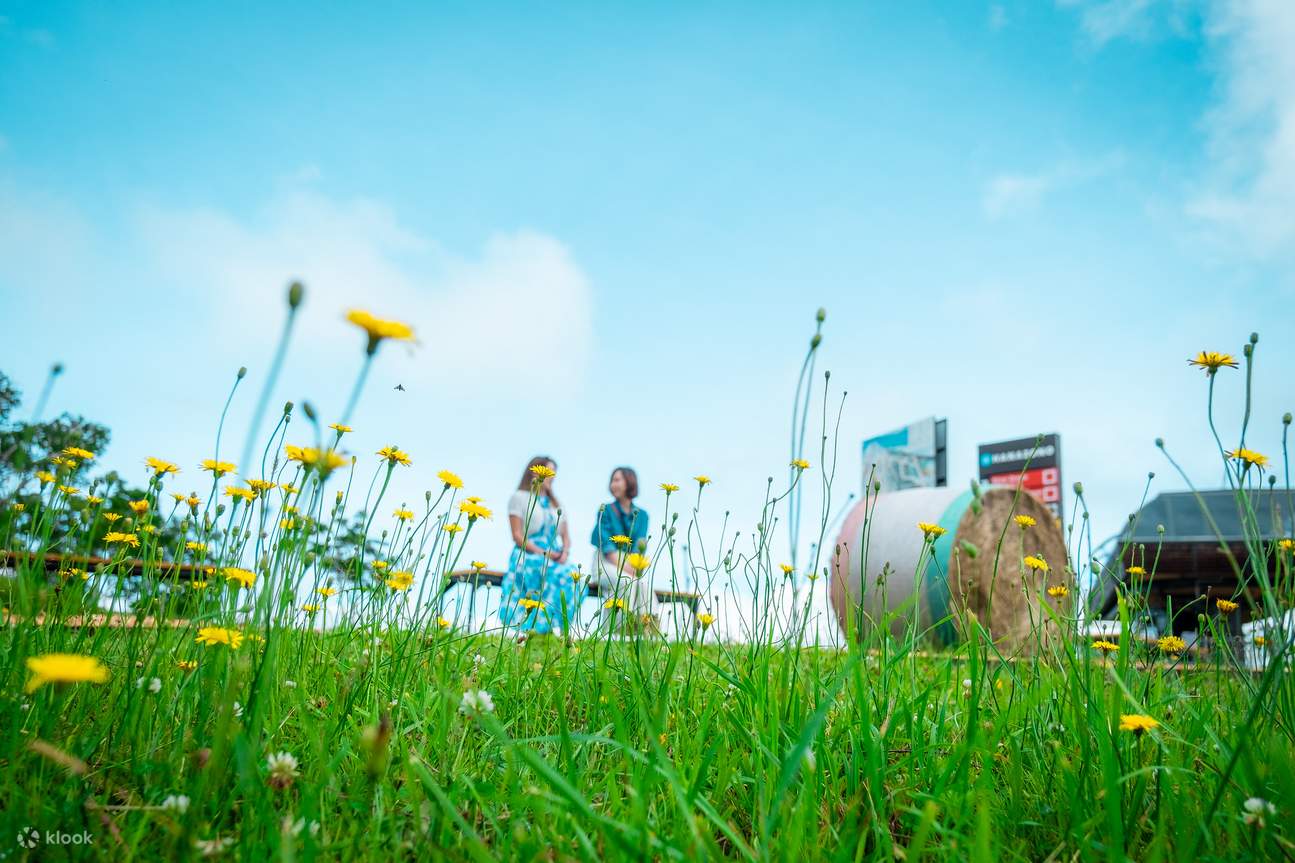 Télécabine d'observation Kutchan Niseko HANAZONO Ezo Fuji (Mont Yotei)