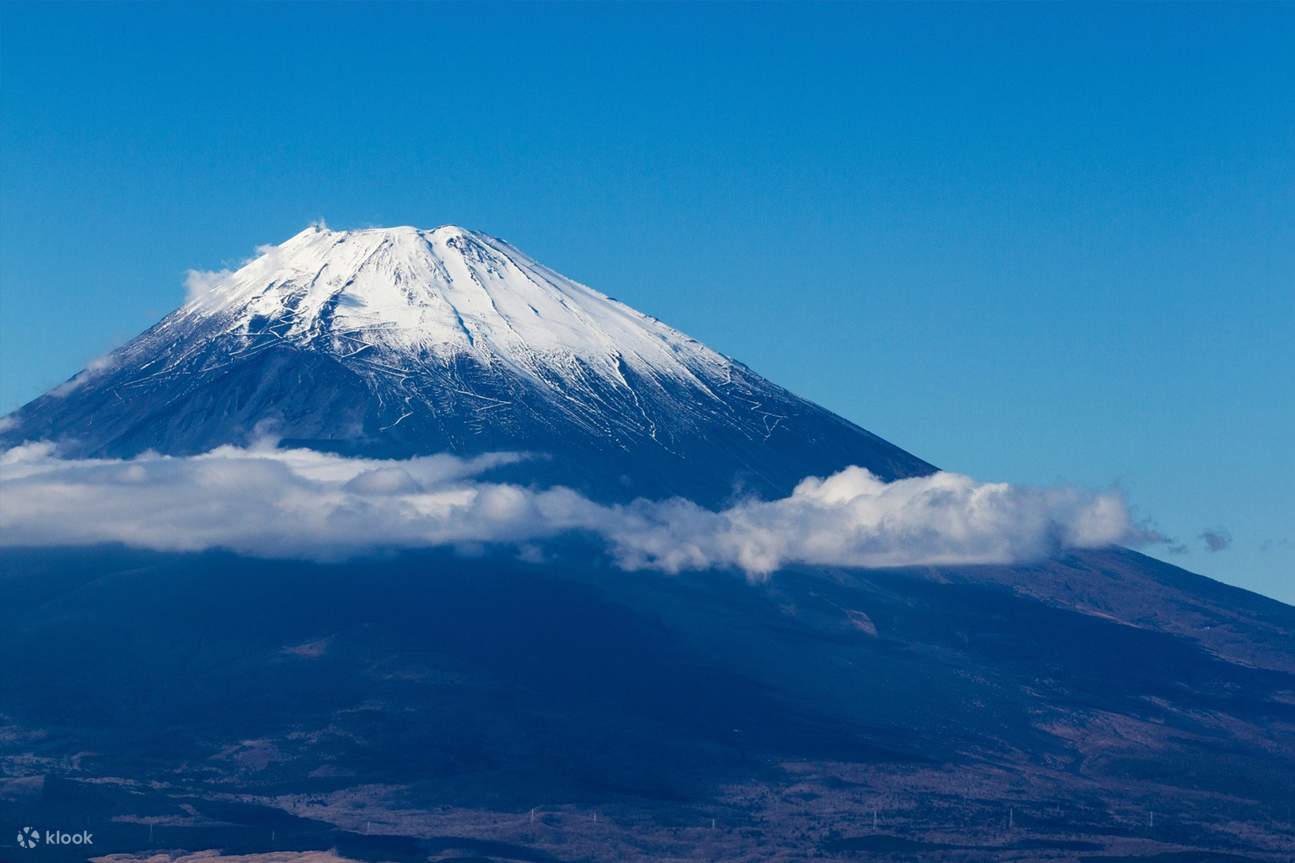 Mt. Fuji Chartered Flight Private Tour from Tokyo Klook