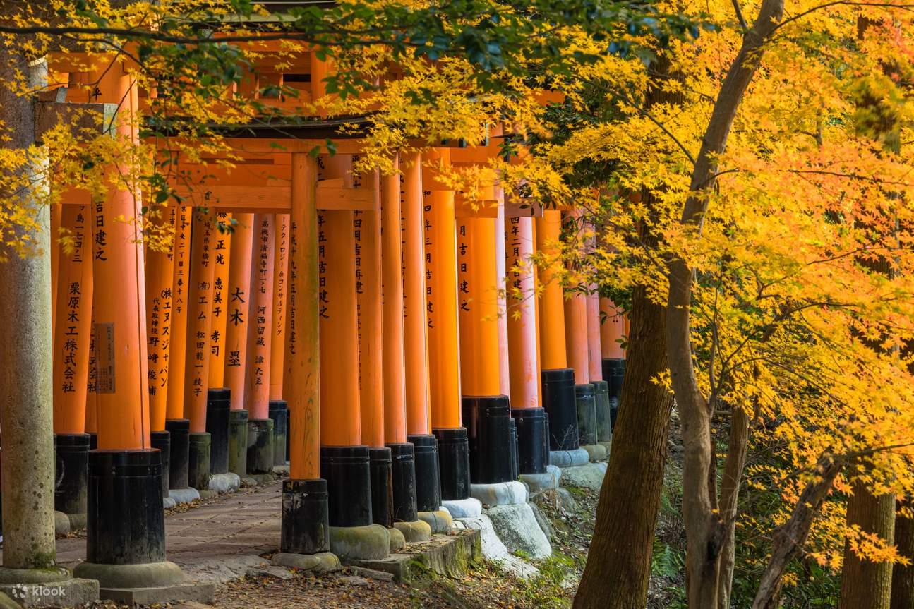Kyoto Nanzen-ji, Fushimi Inari-taisha & Sagano Romantic Train Day Tour -  Klook Singapore