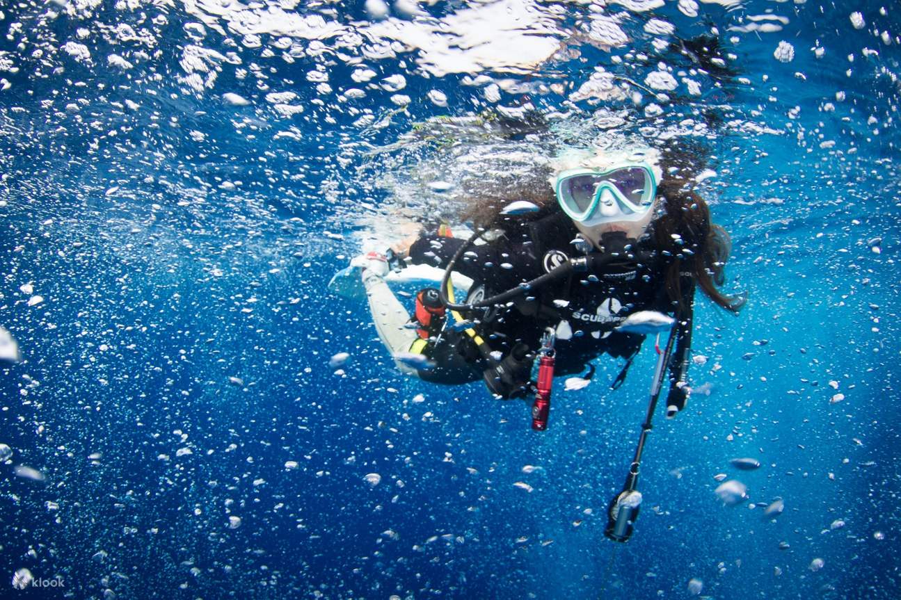 Diving Is Fun FUN DIVE Experience local diving (diving license required) / Xiaoliuqiu ...