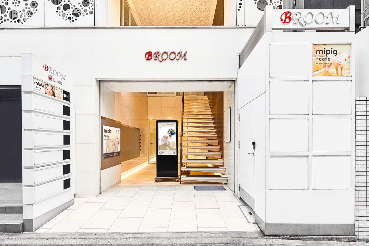 Kafe Babi Mikro Fukuoka