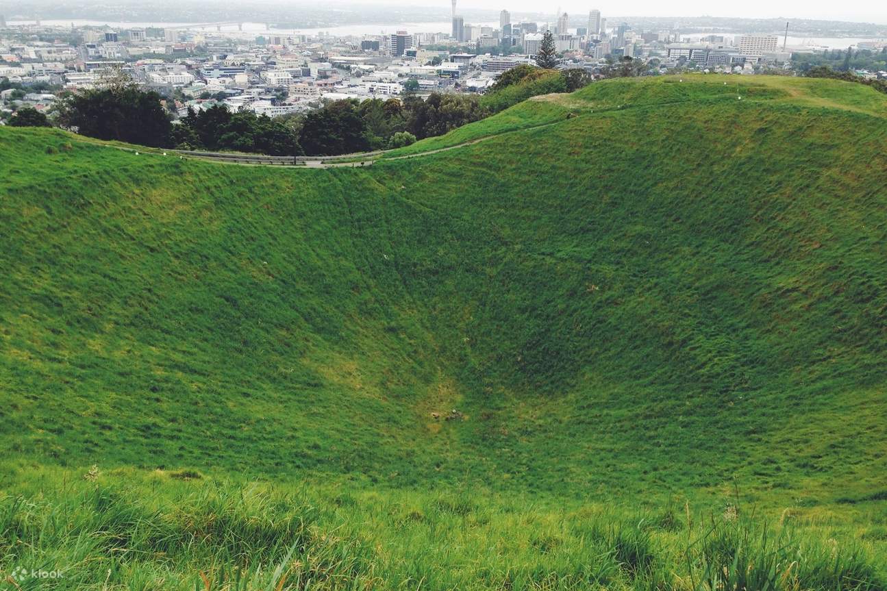 auckland-city-private-tour-klook