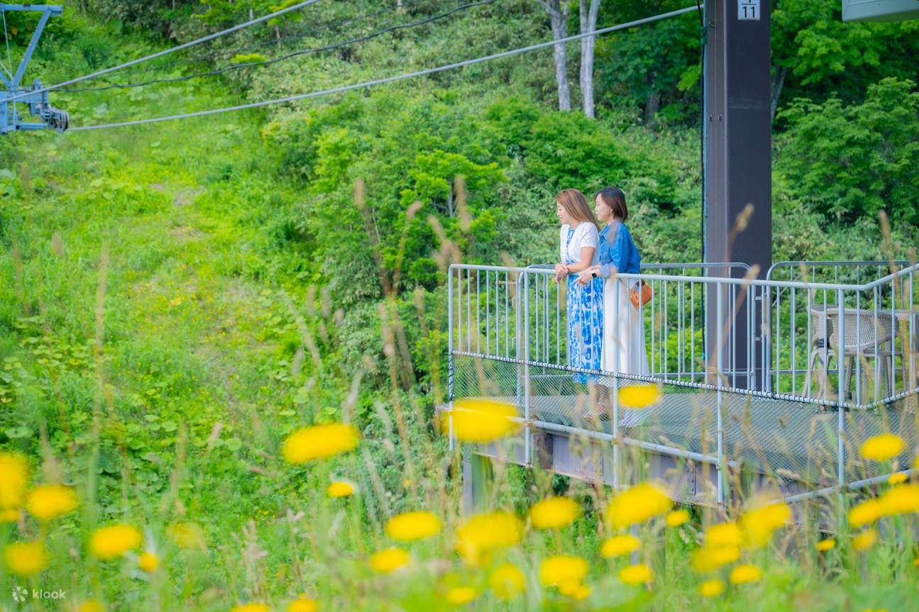 Télécabine panoramique Kutchan Niseko HANAZONO Ezo Fuji (Mont Yotei)