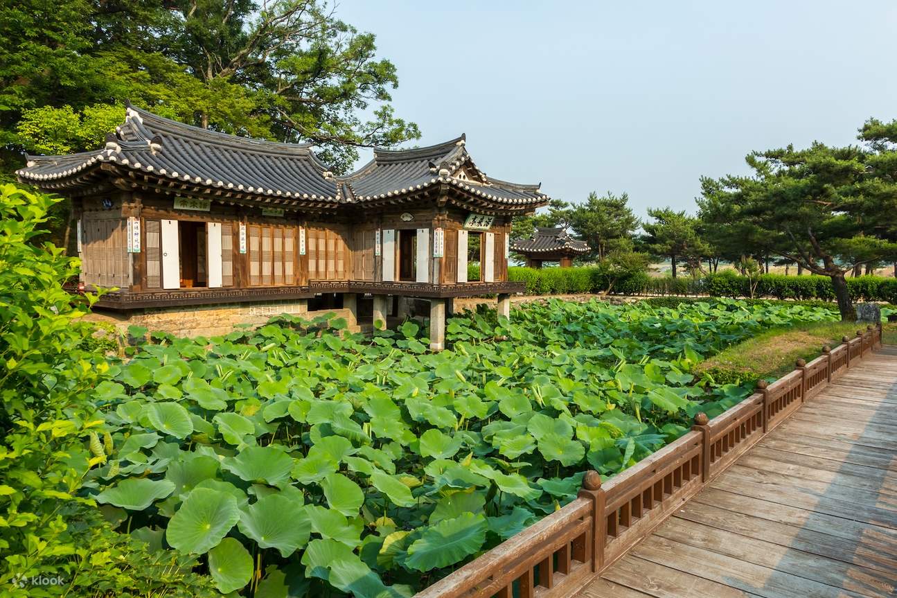 Gangneung Private Car with Driver: Visit Jumunjin BTS Bus Stop, Gyeongpo Beach, Ojukheon & Jeongdongjin