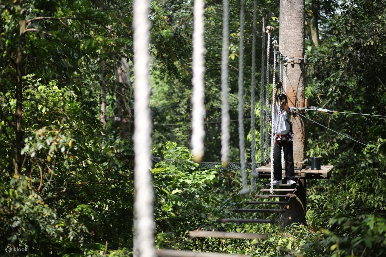 skytrex adventure langkawi