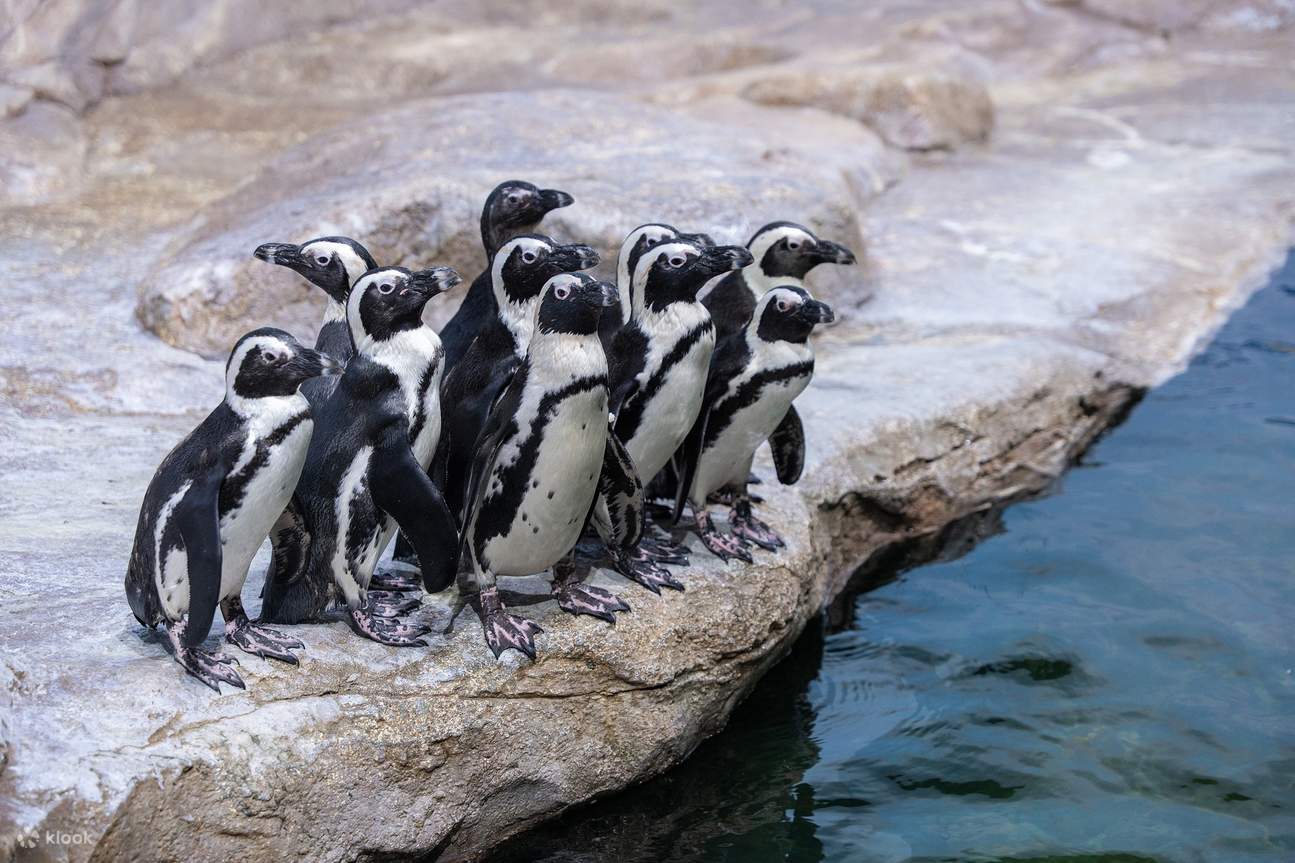 Biglietto per Lotte World Aquarium Hanoi