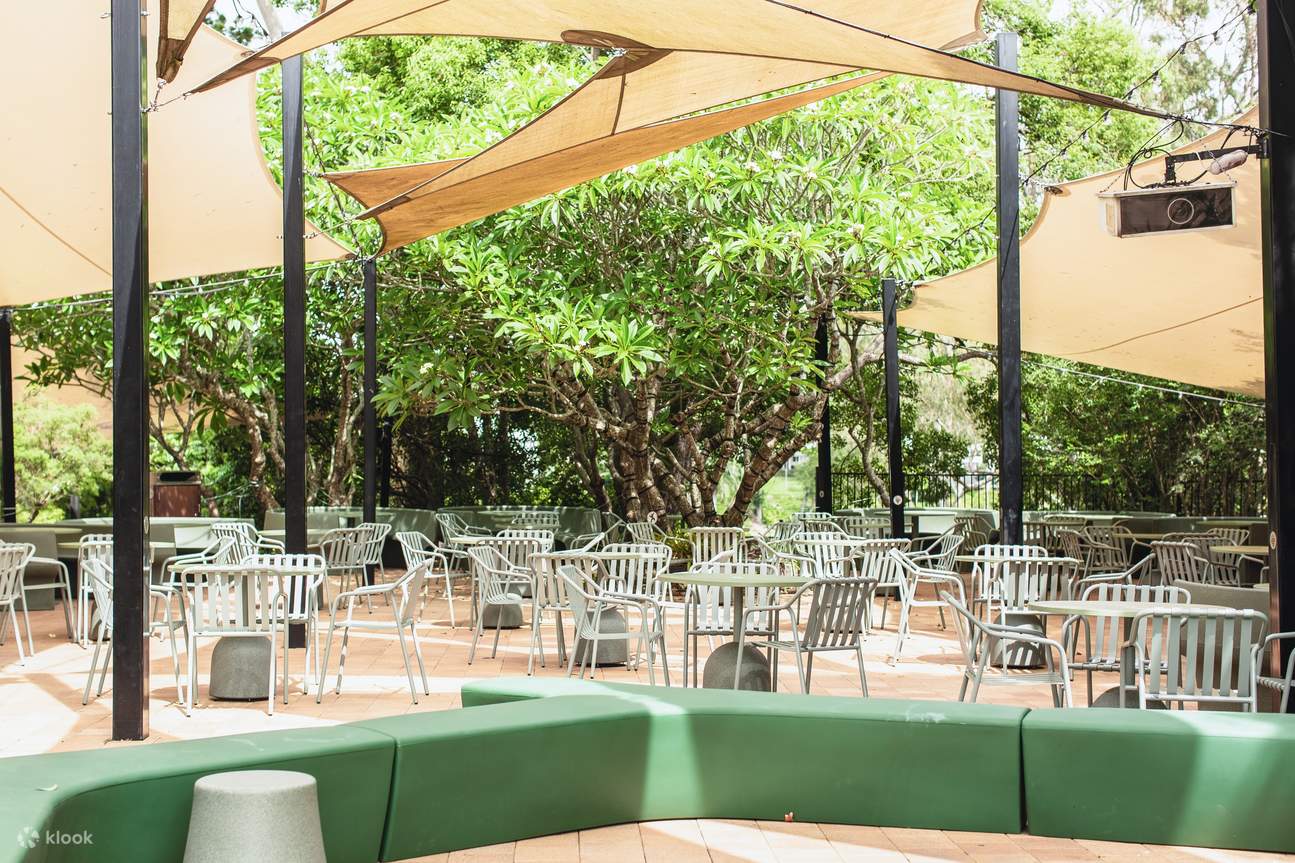 ローンパインコアラサンクチュアリ