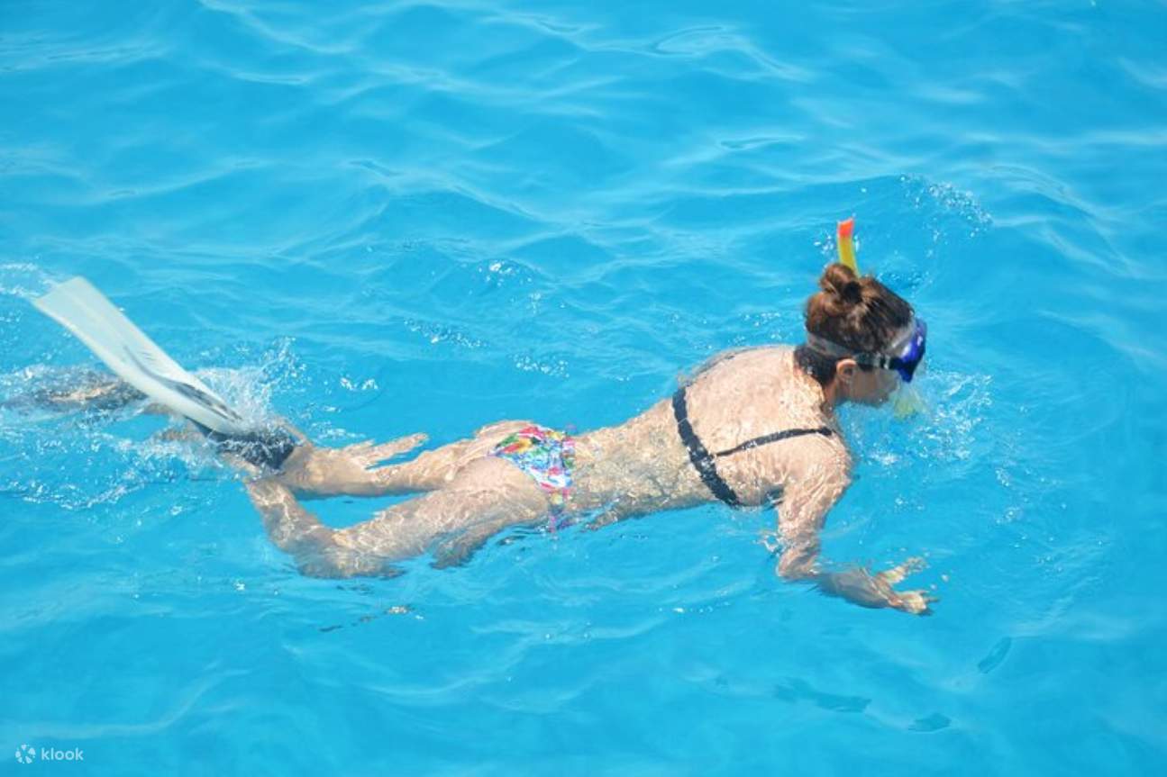 ว่ายน้ำกับปลาโลมา, ทริปดำน้ำตื้น VIP พร้อมอาหารกลางวัน - Hurghada