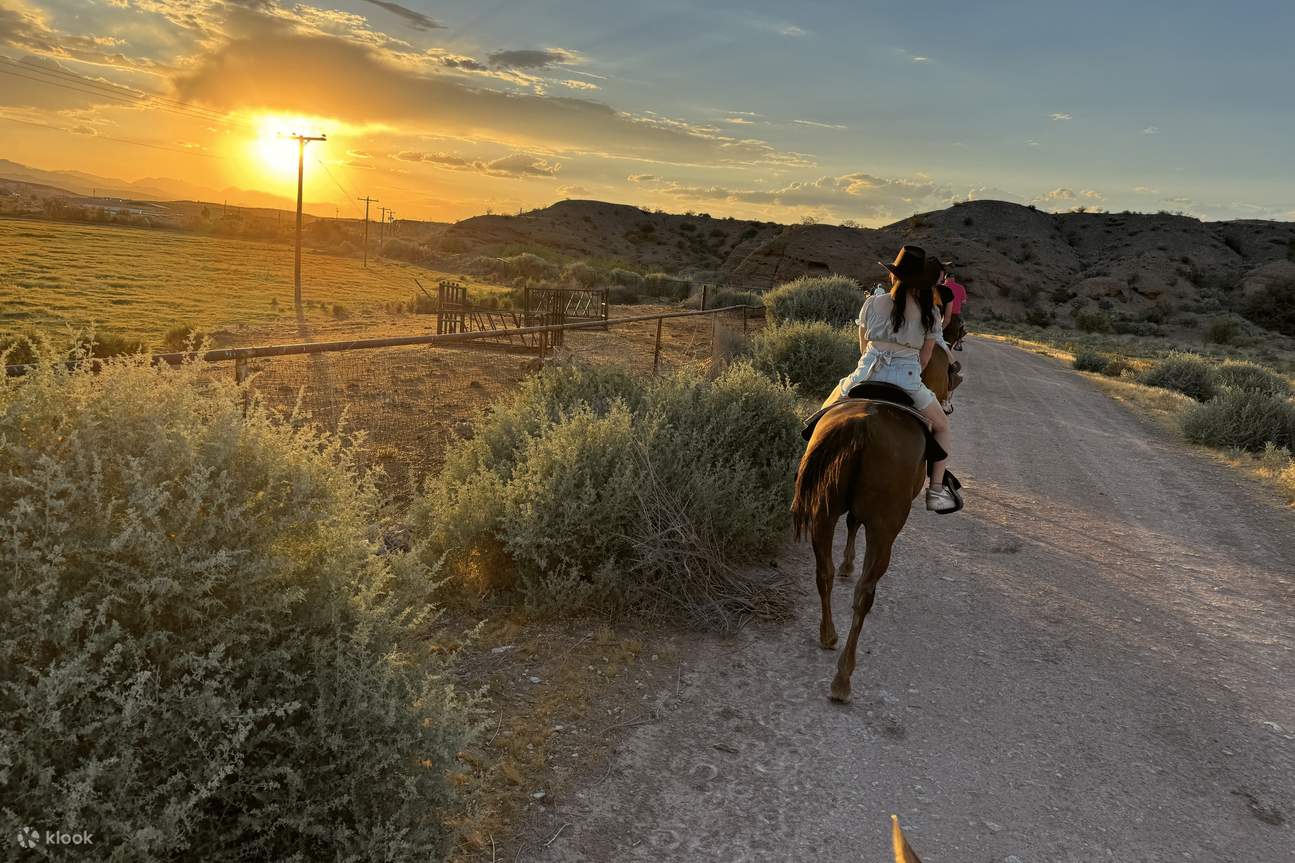 The Wild West Sunset Horseback Ride with Dinner in Las Vegas offers stunning views and a great adventure