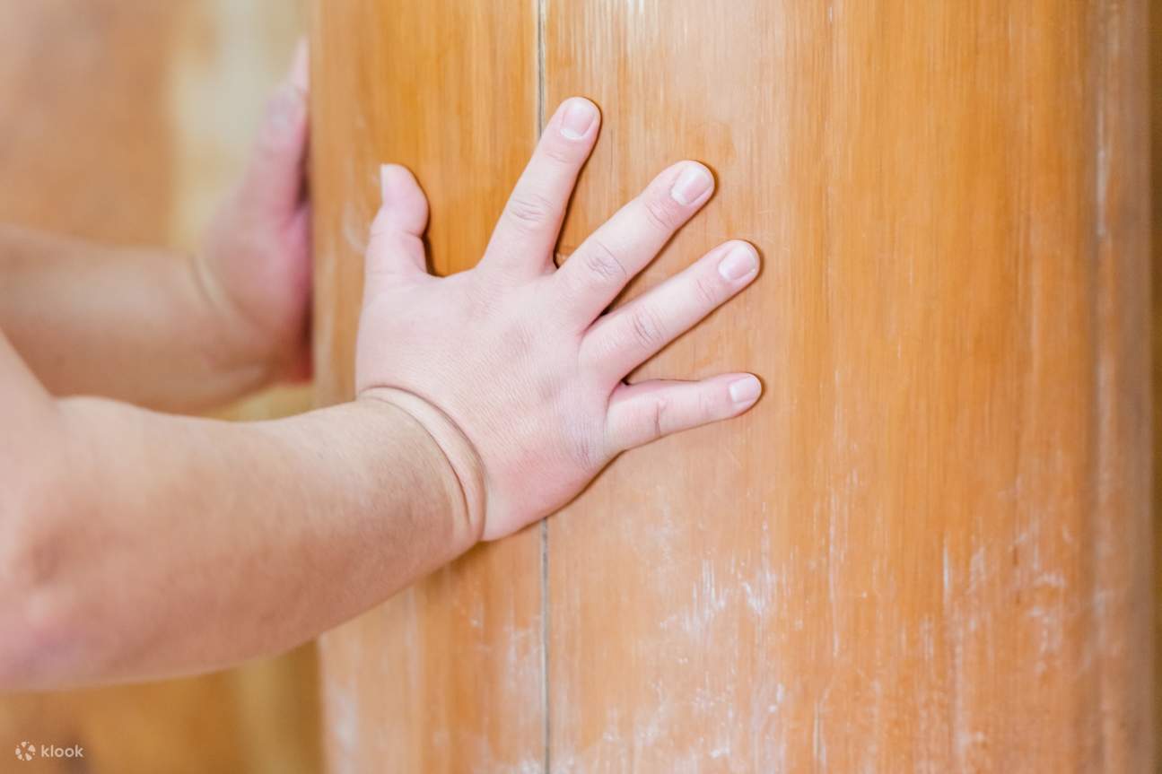 Observation d'entraînement de sumo