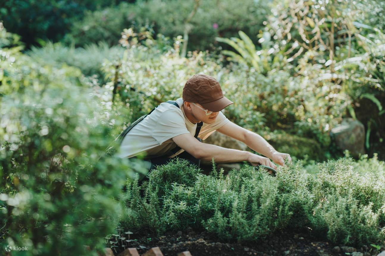 新竹・台中 薰衣草森林門票