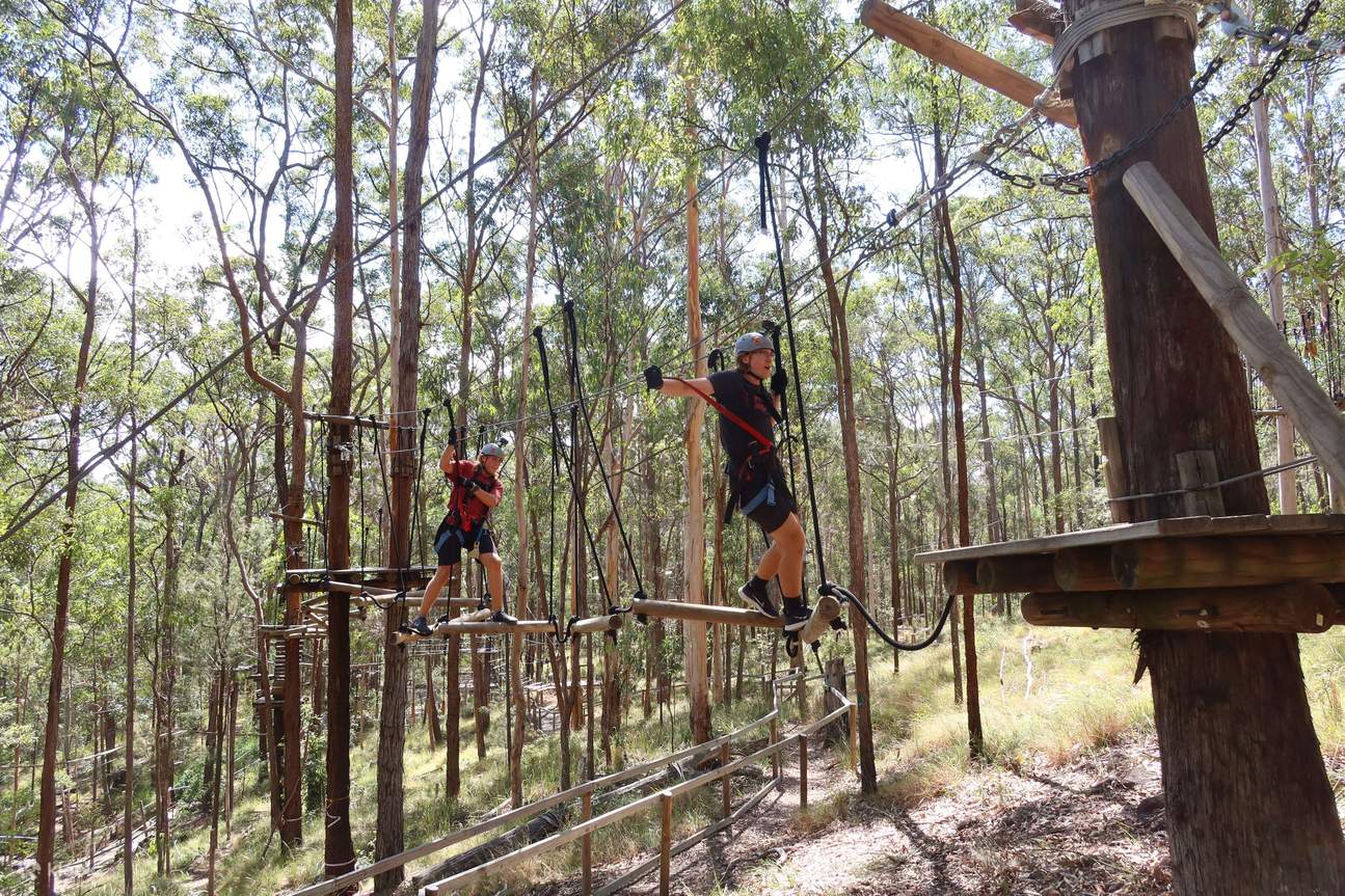 TreeTop Challenge at Tamborine Mountain from Gold Coast Klook Singapore
