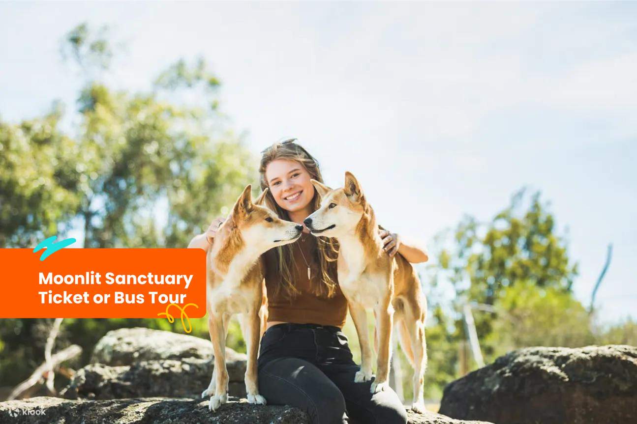 Ticket oder Bustour zum Moonlit Sanctuary