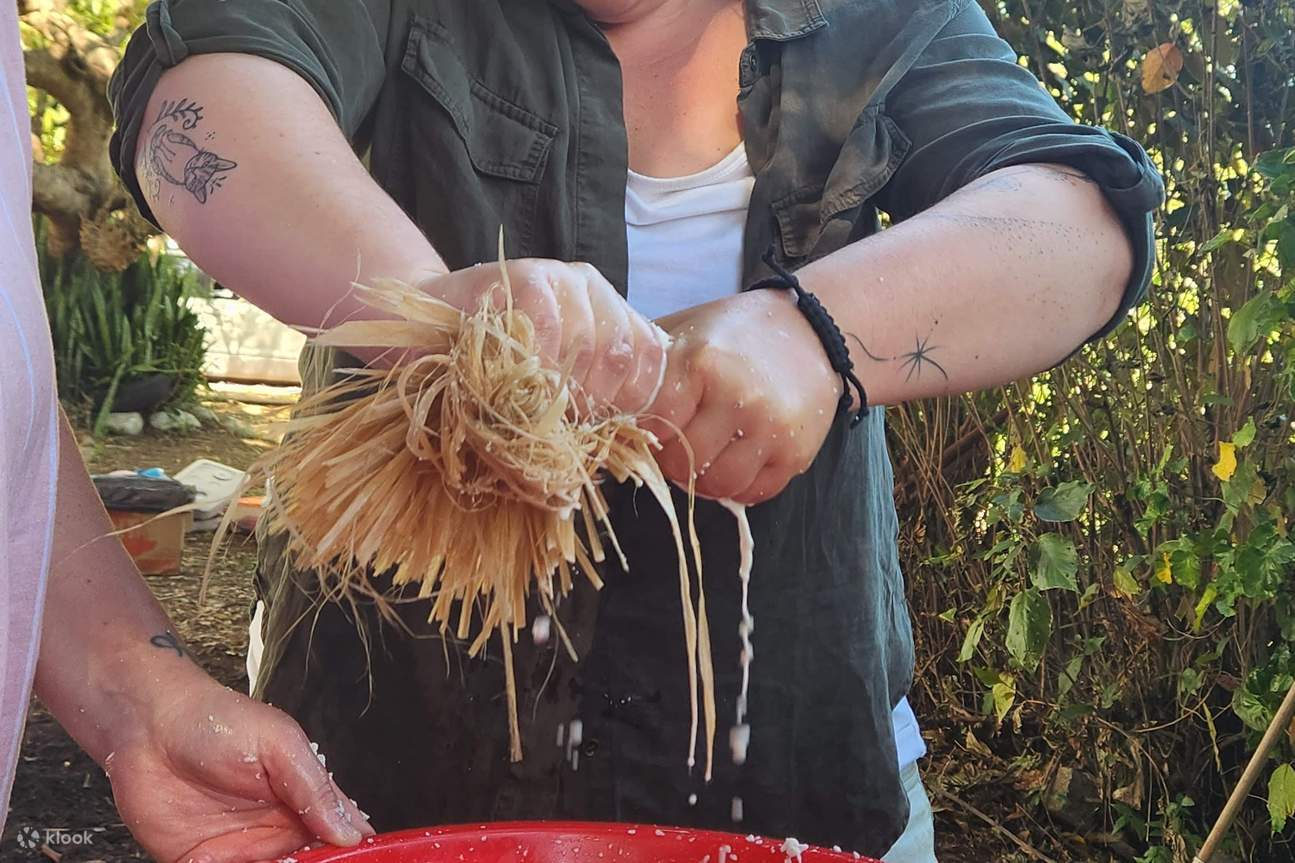 フィジー料理・文化体験（ナンディ）