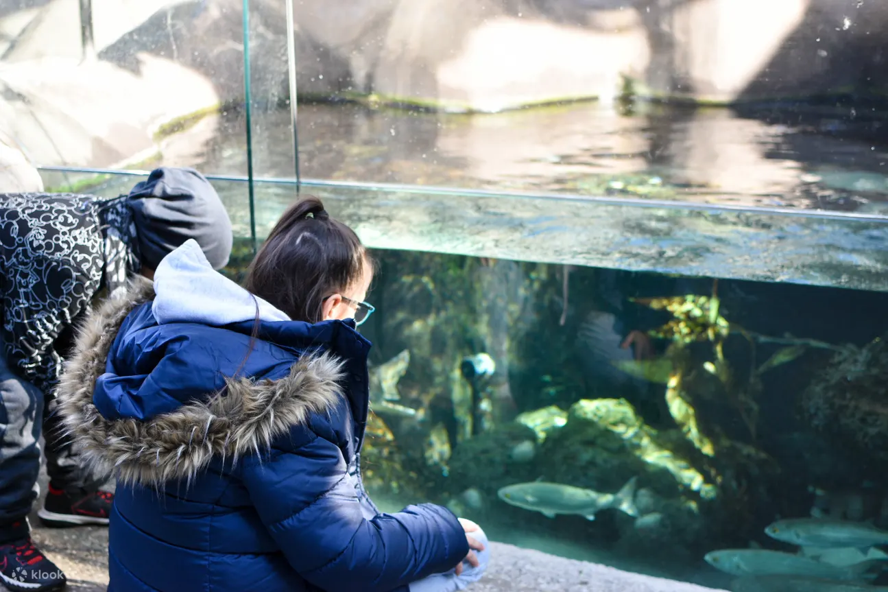 墨爾本動物園照片 - 墨爾本動物園水族館