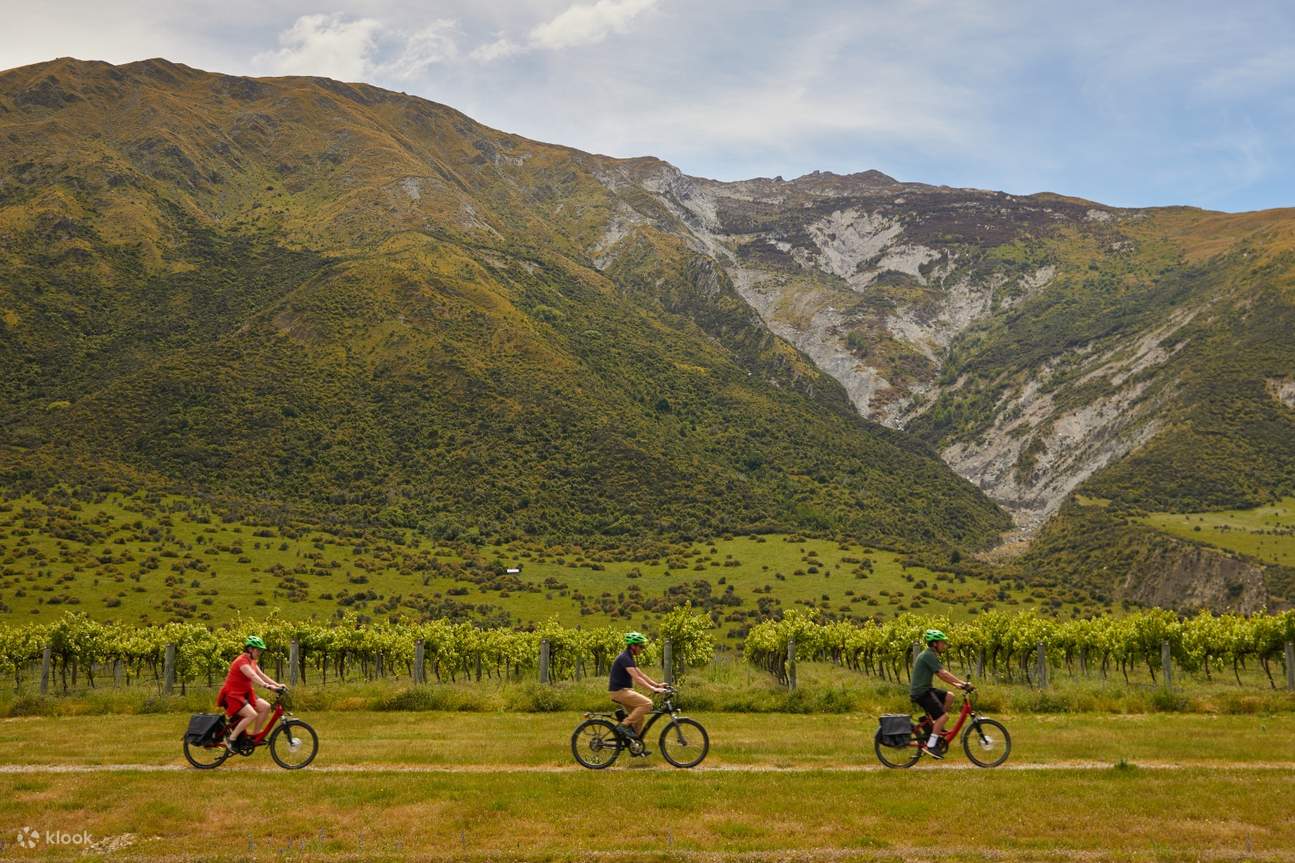Queenstown EBikes Wine Tour 클룩 Klook 한국