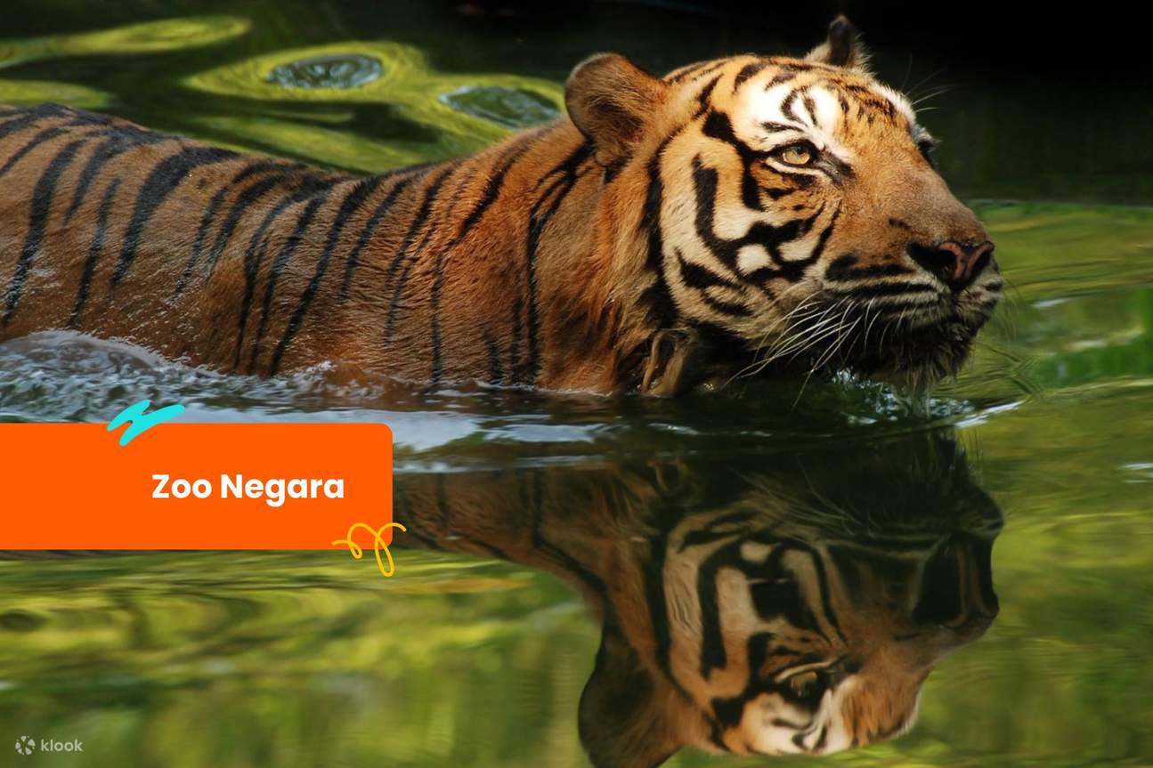 Zoo Negara