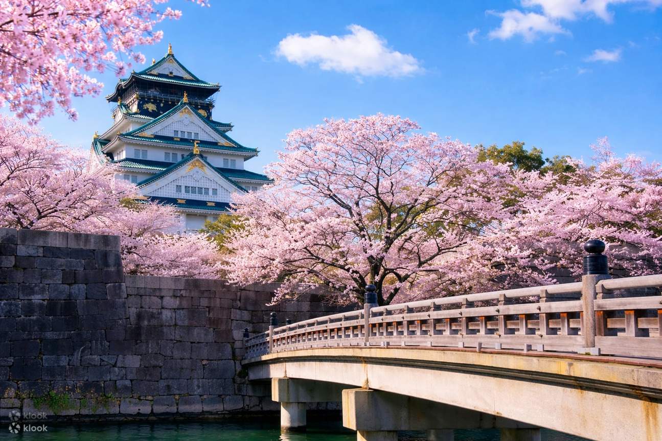 [Cherry Blossom Season Recommendation] Osaka Aqua Bus Cherry Blossom ...