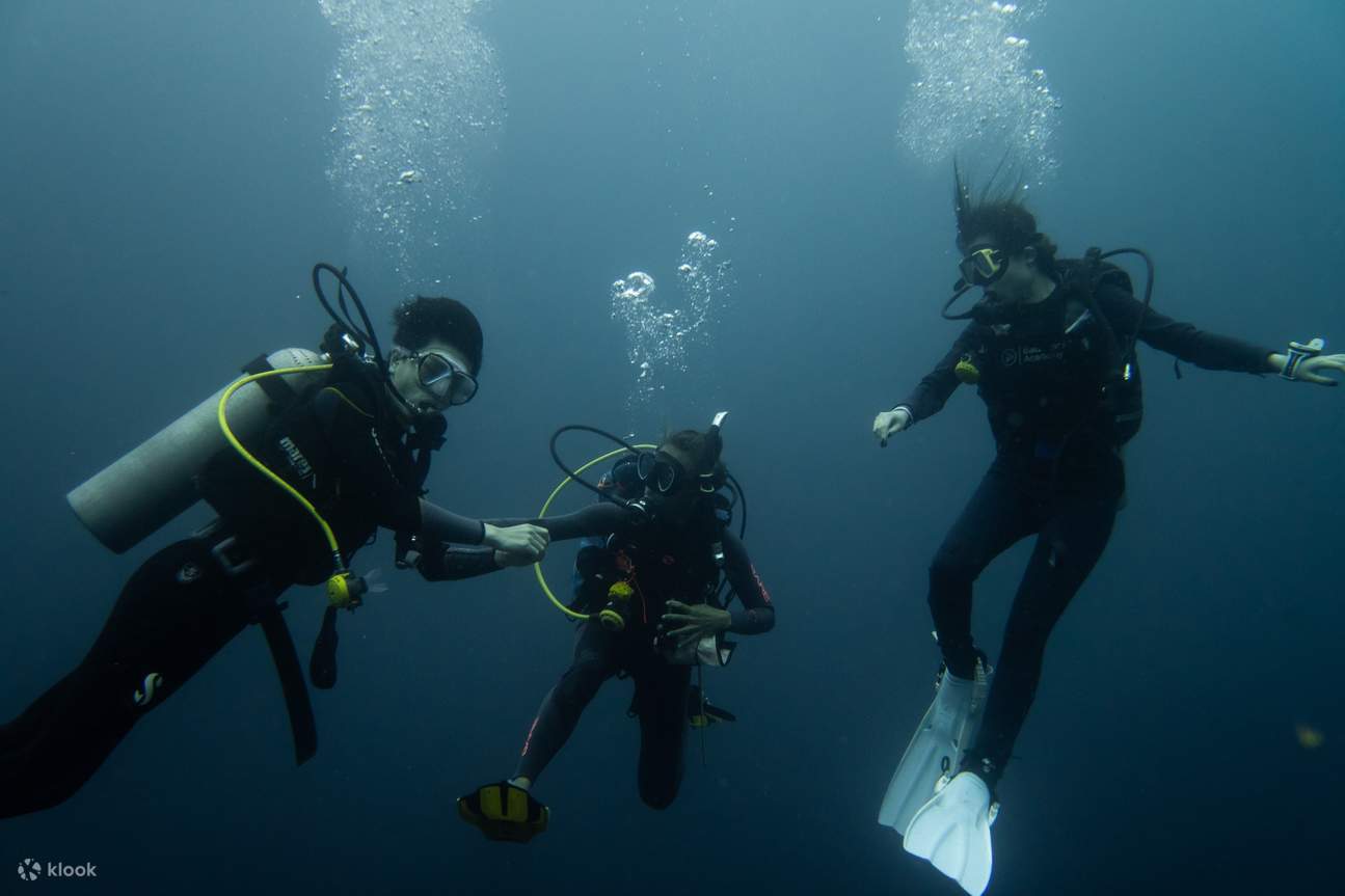 plongée sous-marine avec l'instructeur