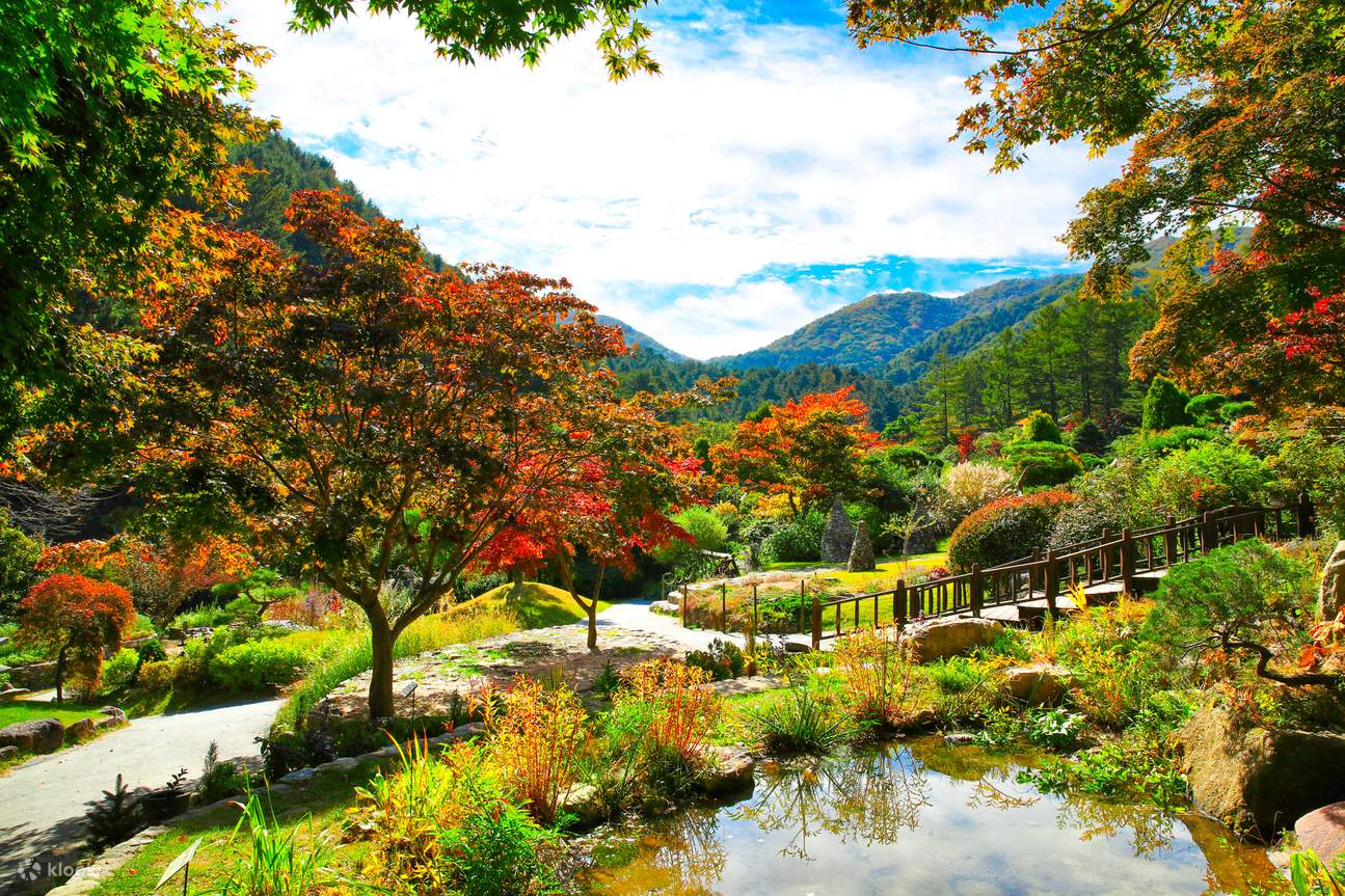 Sewa Mobil dengan Pengemudi ke Seoul City / Pinggiran Kota Seoul / Gangwon-do (Berangkat dari Gapyeong, Chuncheon)