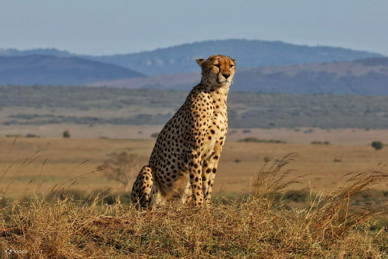 lake naivasha and lake nakuru
