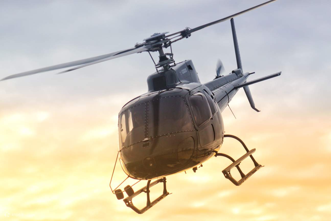 골드코스트 헬리콥터 탑승