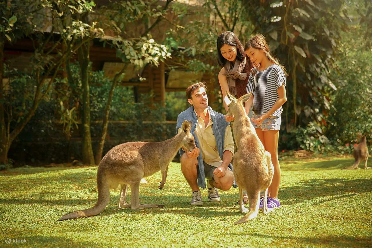 茂物野生動物園
