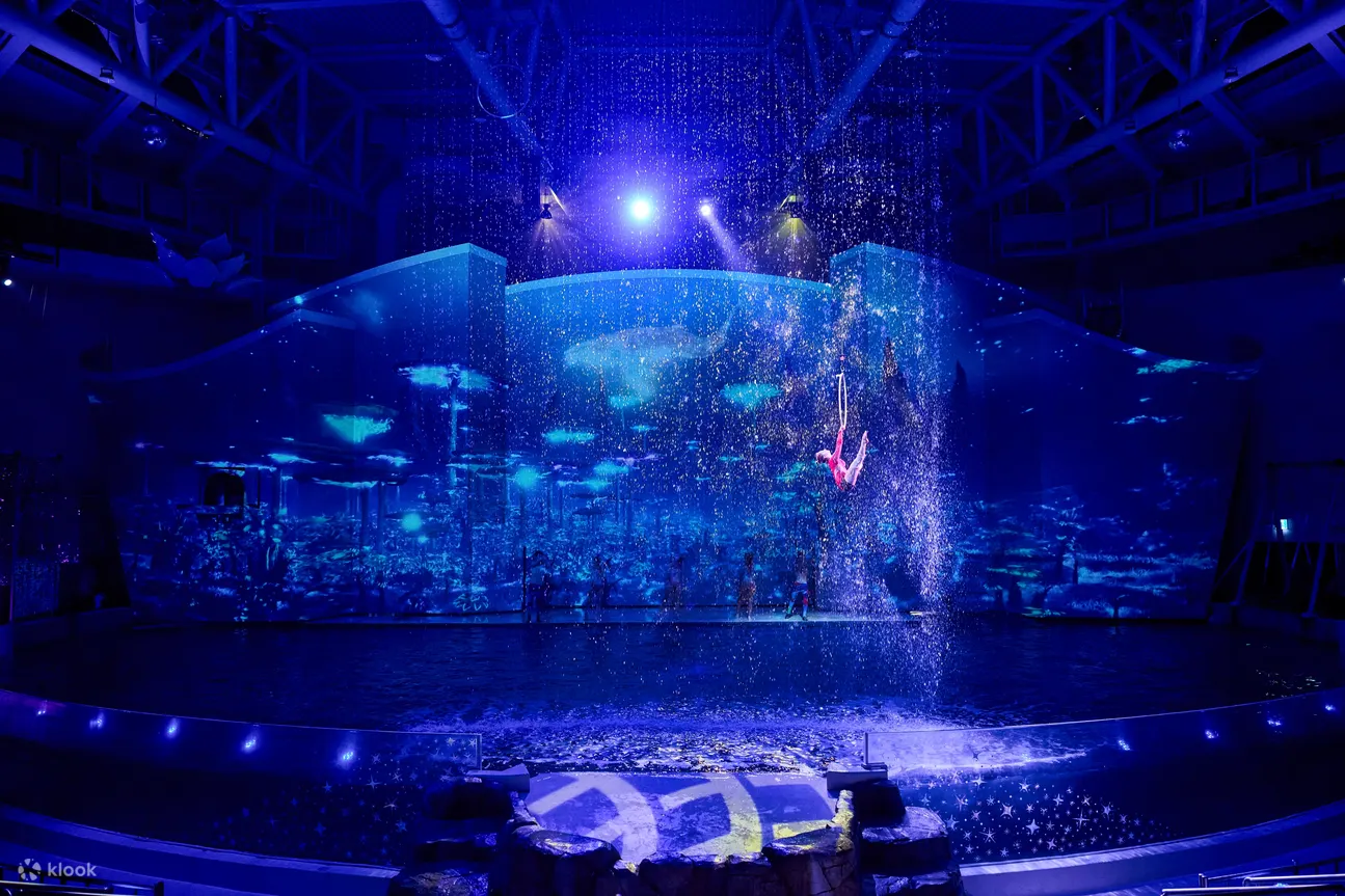 Aqua Planet 济州岛门票 [仅限外国人]