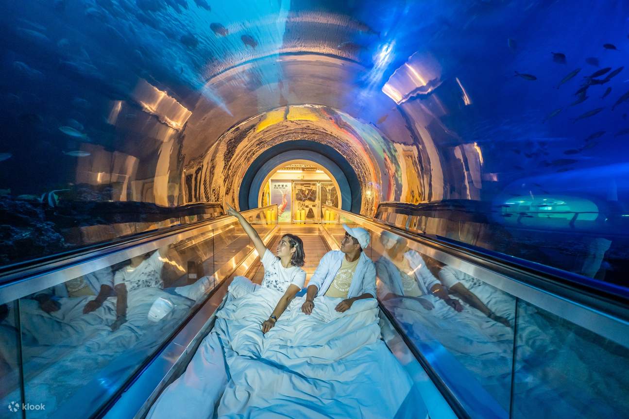 夜の水族館にお泊まり