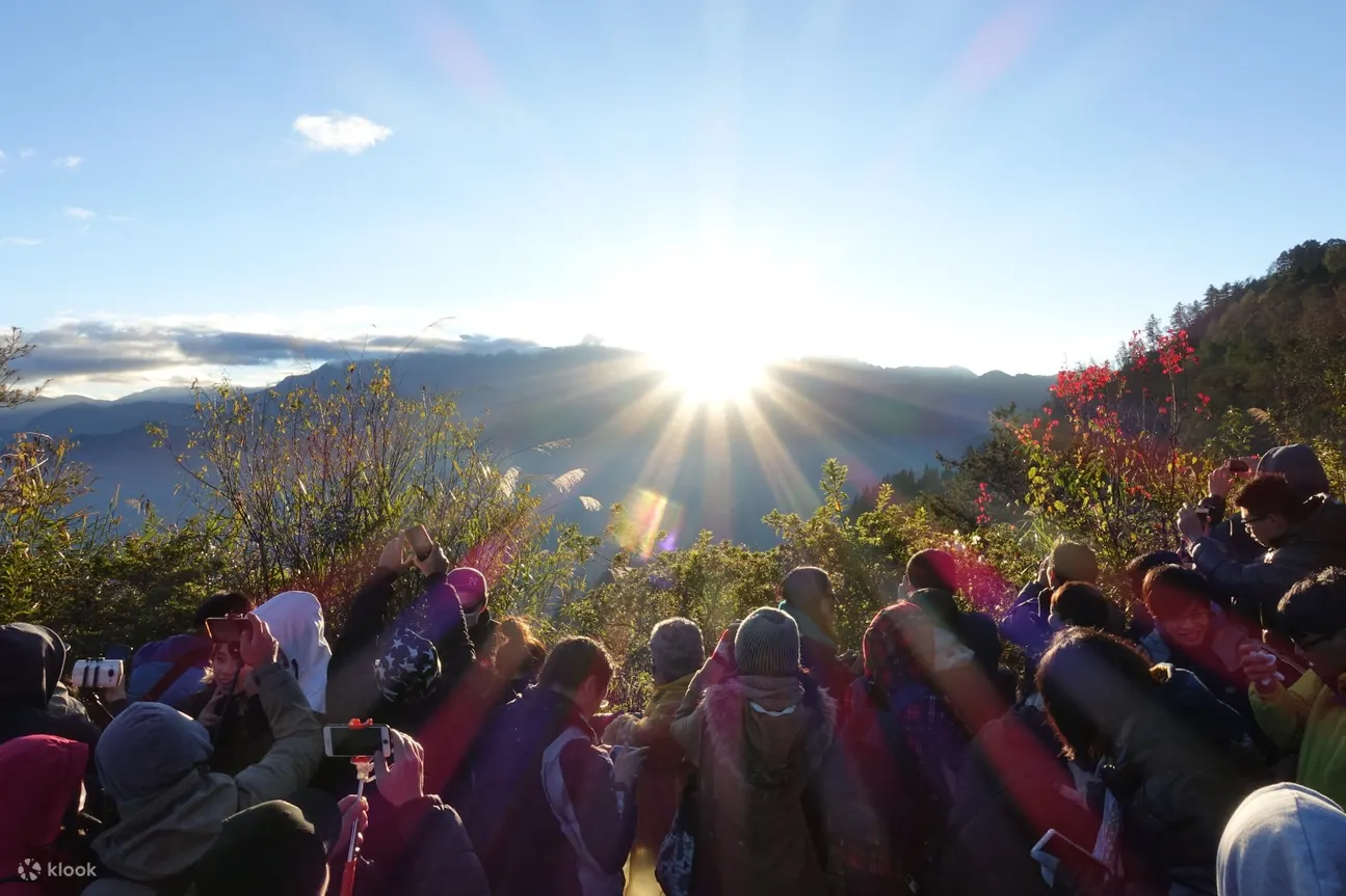 嘉义阿里山国家森林游乐区优惠套票