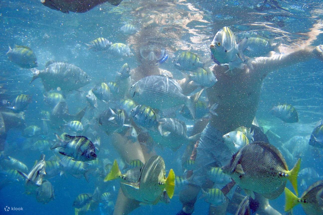 ไฮไลท์กาโบ