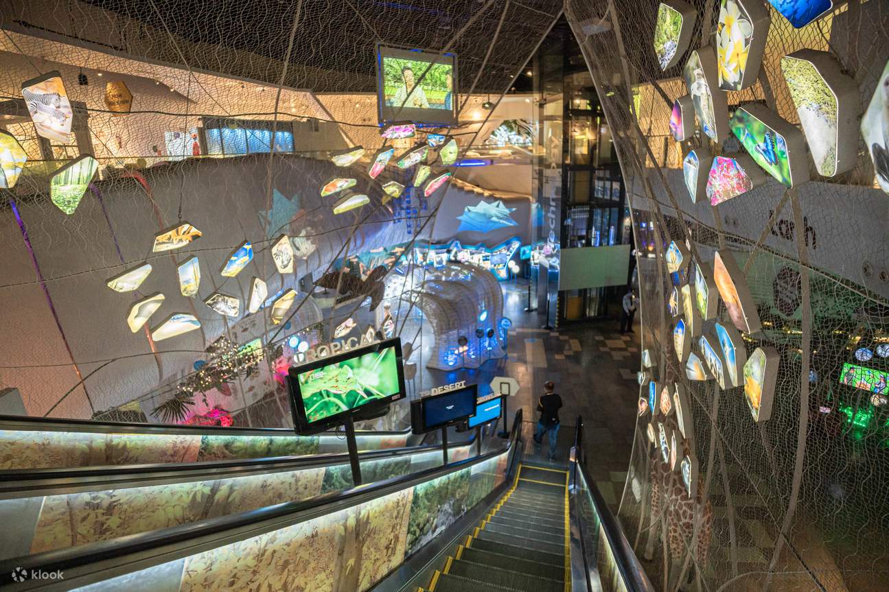 마닐라 마인드 뮤지엄 입장권