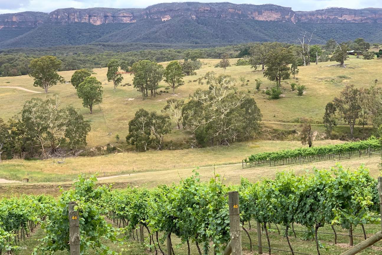 Blue Mountains Tasting Trail, Lunch, Winery, Brewery, and Distillery