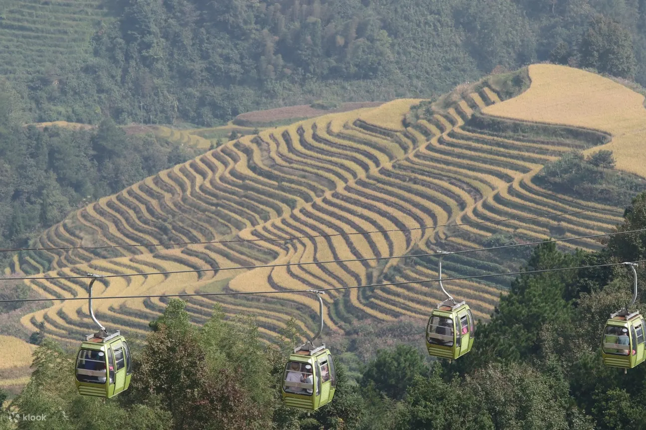 10月（国庆前后）龙脊秋收，一片金黄，漫山丰收喜悦。