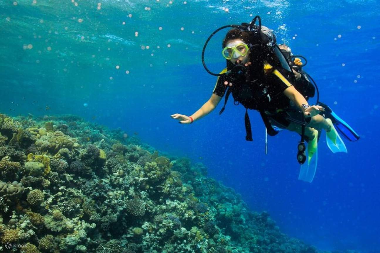 洪加达PADI开放水域潜水进阶课程 - 洪加达