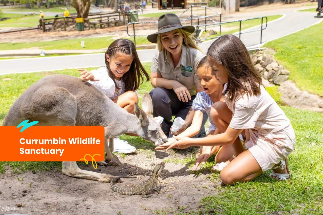 Eintrittskarte für das Currumbin Wildlife Sanctuary