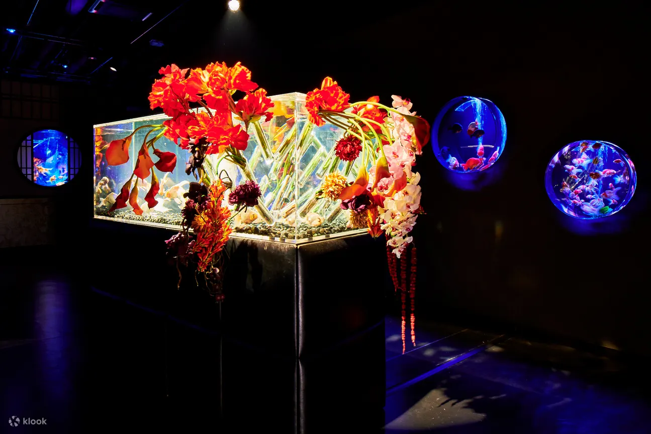 Art Aquarium(金鱼艺术展) in Taipei